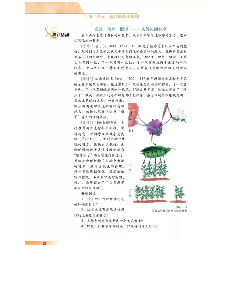沪科版高中生物必修2《遗传与进化》电子课本_4-教培资料-26年最新资料-同步更新_初中高中教资_03科三专项（进去保存报考的学科即可）_112025高中科目（全）电子教材