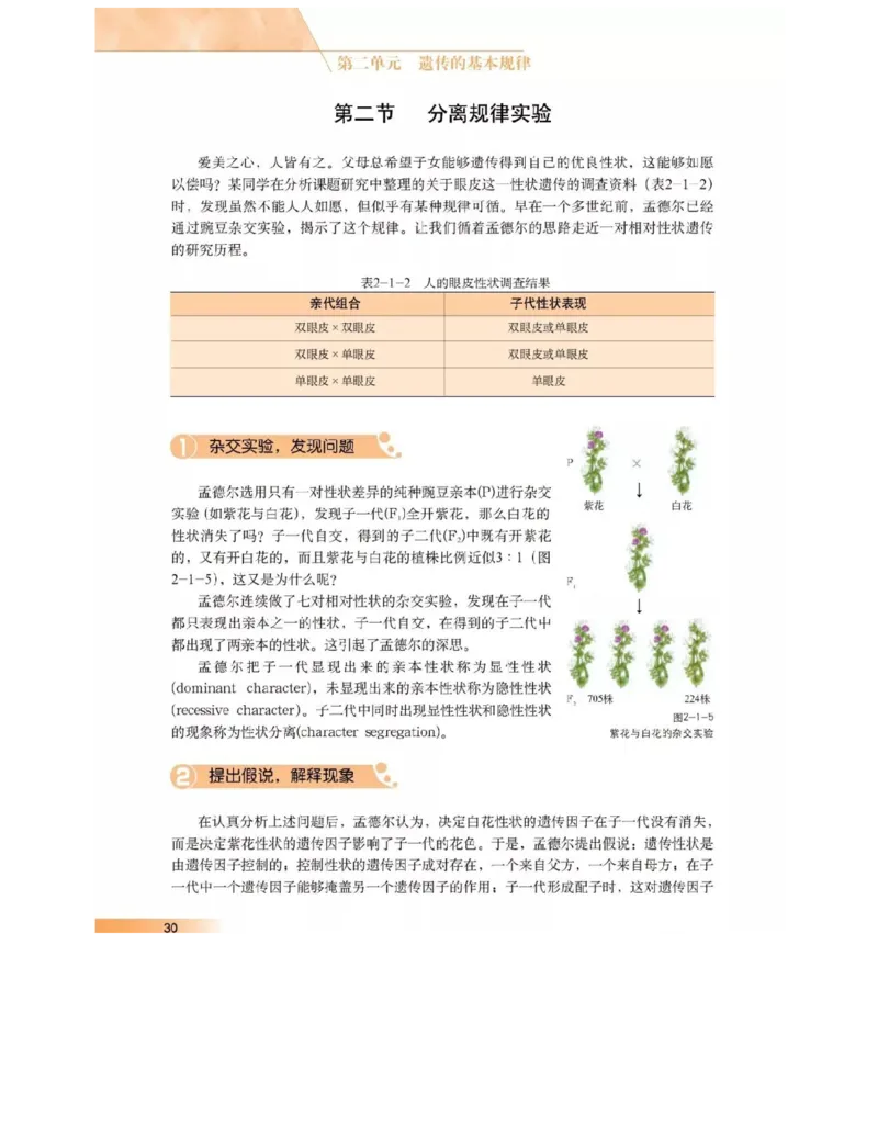 沪科版高中生物必修2《遗传与进化》电子课本_4-教培资料-26年最新资料-同步更新_初中高中教资_03科三专项（进去保存报考的学科即可）_112025高中科目（全）电子教材