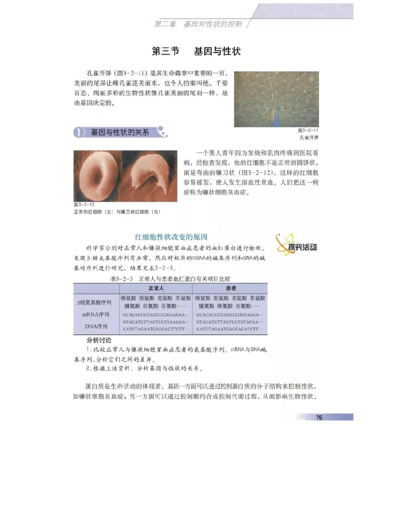 沪科版高中生物必修2《遗传与进化》电子课本_4-教培资料-26年最新资料-同步更新_初中高中教资_03科三专项（进去保存报考的学科即可）_112025高中科目（全）电子教材