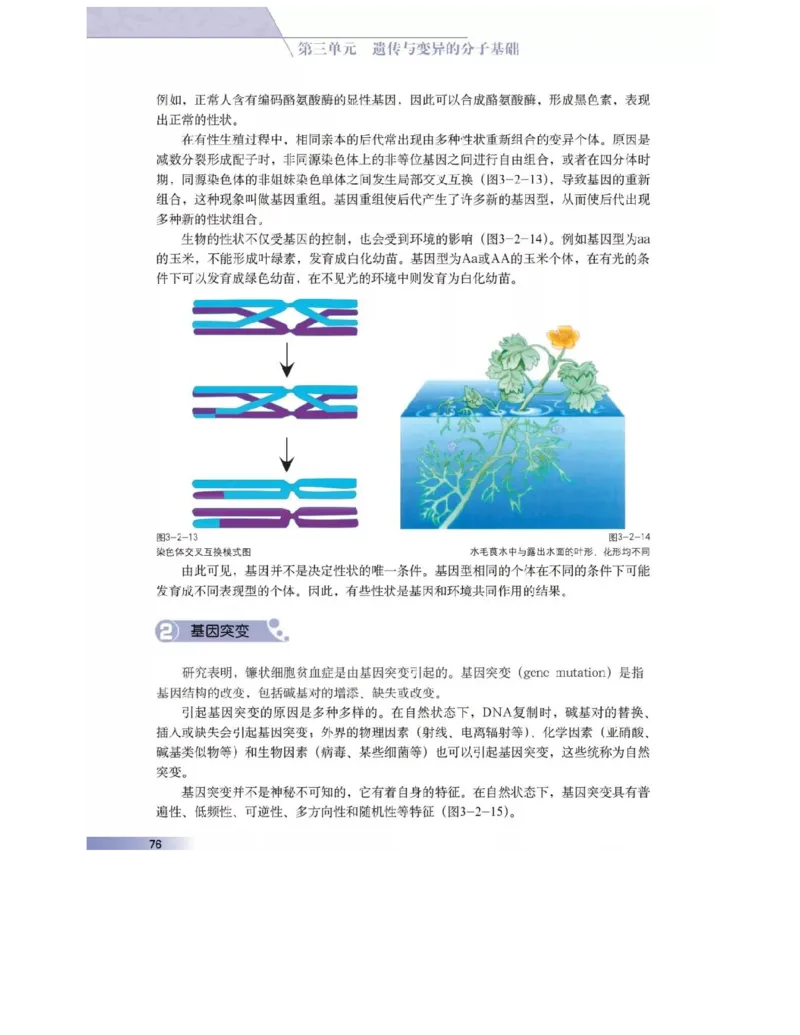 沪科版高中生物必修2《遗传与进化》电子课本_4-教培资料-26年最新资料-同步更新_初中高中教资_03科三专项（进去保存报考的学科即可）_112025高中科目（全）电子教材