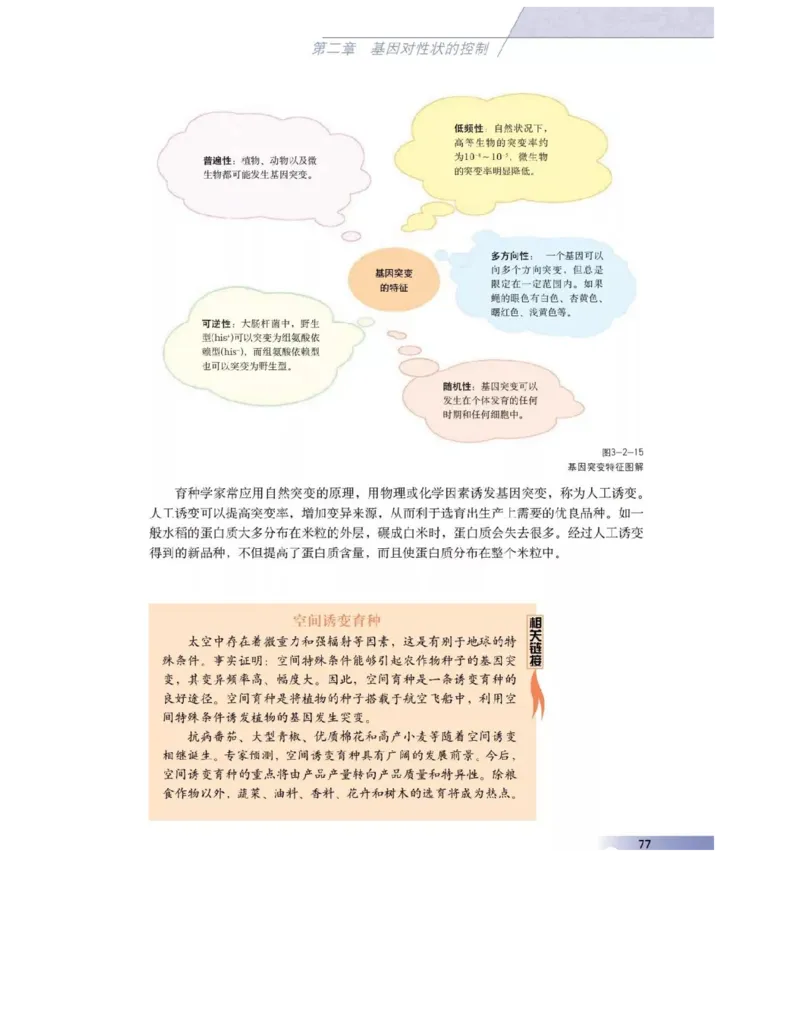 沪科版高中生物必修2《遗传与进化》电子课本_4-教培资料-26年最新资料-同步更新_初中高中教资_03科三专项（进去保存报考的学科即可）_112025高中科目（全）电子教材