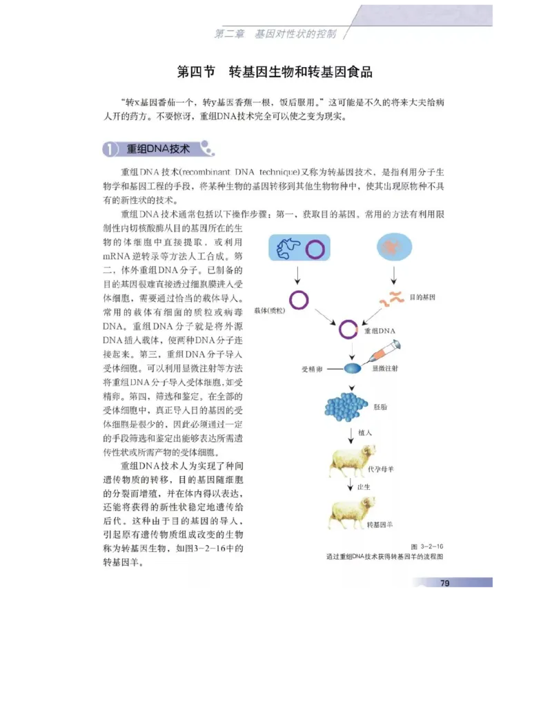 沪科版高中生物必修2《遗传与进化》电子课本_4-教培资料-26年最新资料-同步更新_初中高中教资_03科三专项（进去保存报考的学科即可）_112025高中科目（全）电子教材