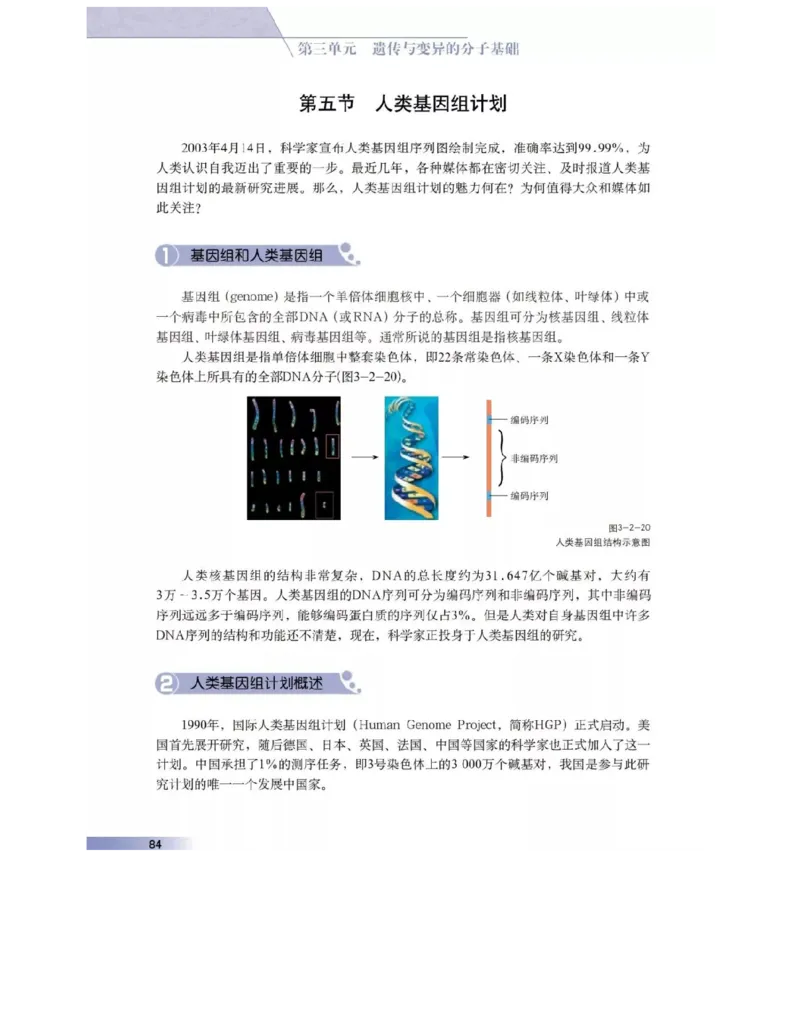 沪科版高中生物必修2《遗传与进化》电子课本_4-教培资料-26年最新资料-同步更新_初中高中教资_03科三专项（进去保存报考的学科即可）_112025高中科目（全）电子教材