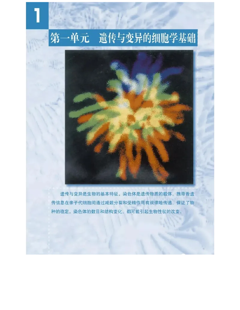 沪科版高中生物必修2《遗传与进化》电子课本_4-教培资料-26年最新资料-同步更新_初中高中教资_03科三专项（进去保存报考的学科即可）_112025高中科目（全）电子教材