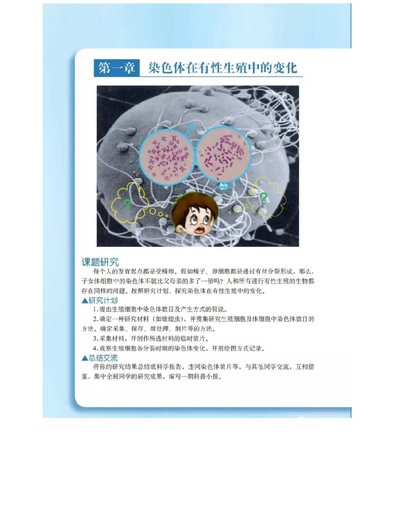 沪科版高中生物必修2《遗传与进化》电子课本_4-教培资料-26年最新资料-同步更新_初中高中教资_03科三专项（进去保存报考的学科即可）_112025高中科目（全）电子教材