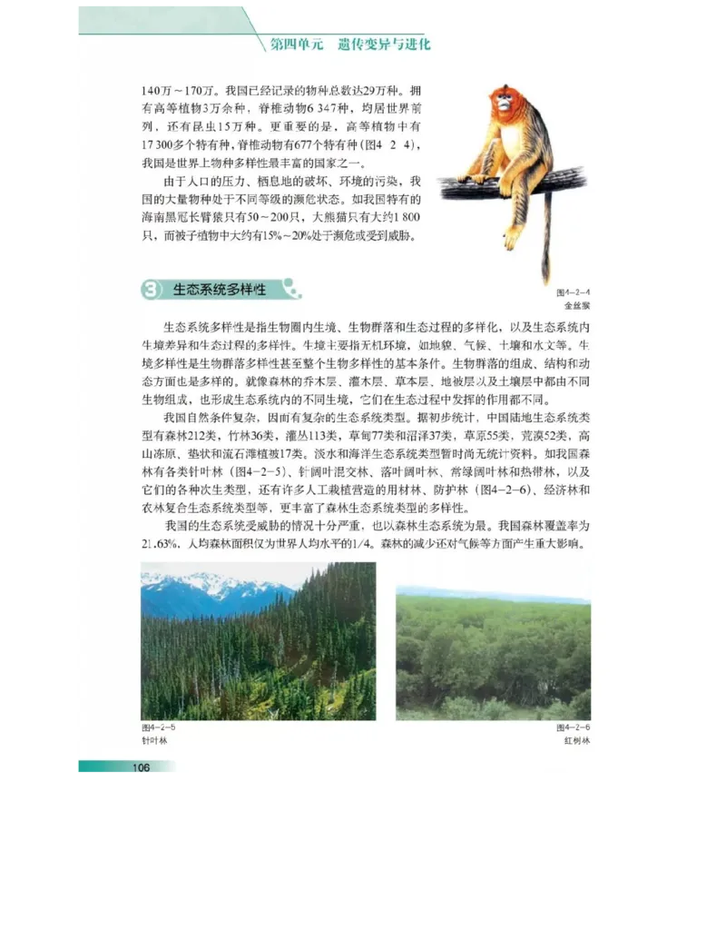 沪科版高中生物必修2《遗传与进化》电子课本_4-教培资料-26年最新资料-同步更新_初中高中教资_03科三专项（进去保存报考的学科即可）_112025高中科目（全）电子教材