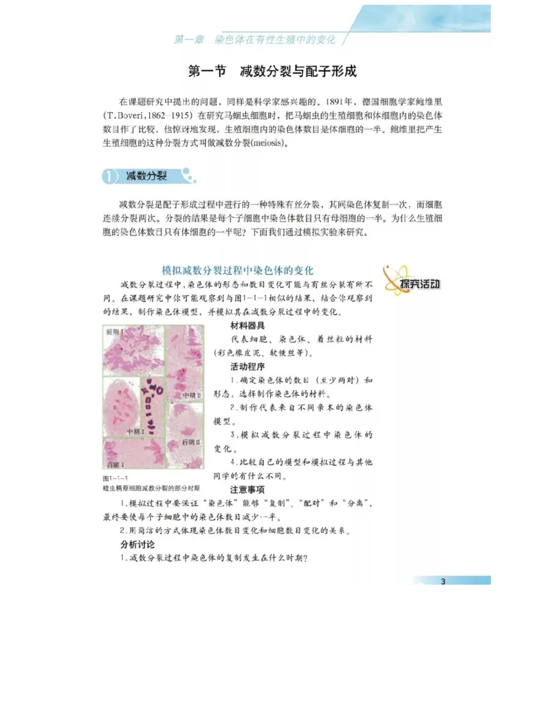 沪科版高中生物必修2《遗传与进化》电子课本_4-教培资料-26年最新资料-同步更新_初中高中教资_03科三专项（进去保存报考的学科即可）_112025高中科目（全）电子教材