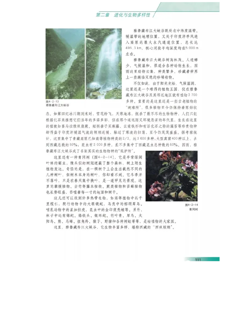 沪科版高中生物必修2《遗传与进化》电子课本_4-教培资料-26年最新资料-同步更新_初中高中教资_03科三专项（进去保存报考的学科即可）_112025高中科目（全）电子教材