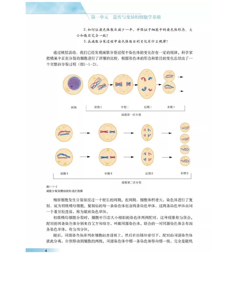 沪科版高中生物必修2《遗传与进化》电子课本_4-教培资料-26年最新资料-同步更新_初中高中教资_03科三专项（进去保存报考的学科即可）_112025高中科目（全）电子教材