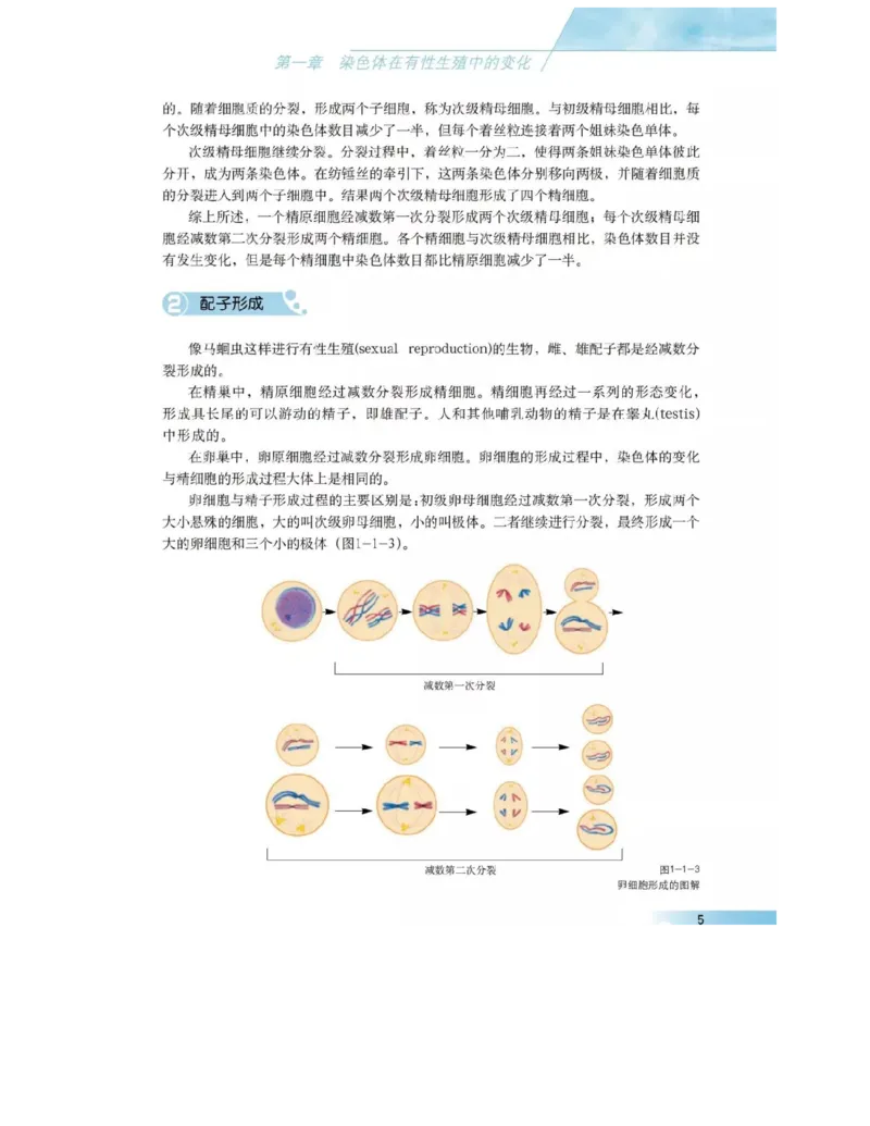 沪科版高中生物必修2《遗传与进化》电子课本_4-教培资料-26年最新资料-同步更新_初中高中教资_03科三专项（进去保存报考的学科即可）_112025高中科目（全）电子教材