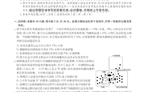 2024届九师联盟高三12月质量检测生物_2024届九师联盟高三12月质量检测