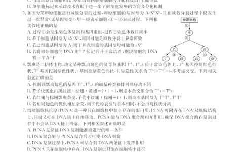 2024届九师联盟高三12月质量检测生物_2024届九师联盟高三12月质量检测