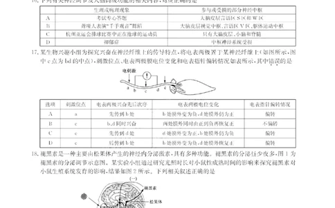 2024届九师联盟高三12月质量检测生物_2024届九师联盟高三12月质量检测