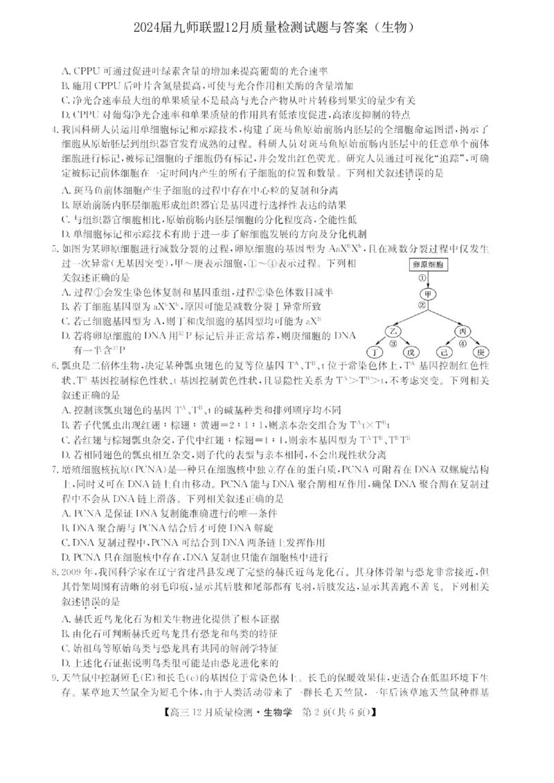 2024届九师联盟高三12月质量检测生物_2024届九师联盟高三12月质量检测