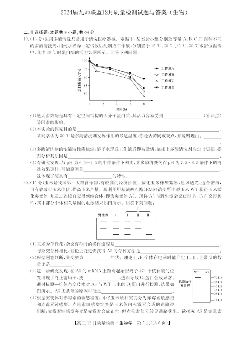 2024届九师联盟高三12月质量检测生物_2024届九师联盟高三12月质量检测