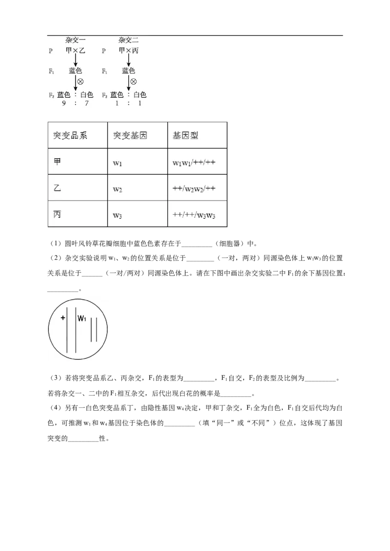 广东省广州市南海中学2025-2026学年高三上学期10月期中生物试题_251103广州市南海中学2025-2026学年高三上学期10月期中考试