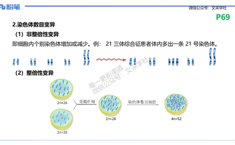 理论精讲10-遗传学3-拾光_4-教培资料-26年最新资料-同步更新_初中高中教资_03科三专项（进去保存报考的学科即可）_01科目三FB网课、三色速记手册、知识点导图等推荐_初中
