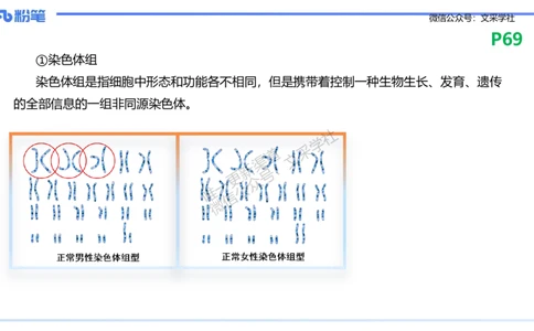 理论精讲10-遗传学3-拾光_4-教培资料-26年最新资料-同步更新_初中高中教资_03科三专项（进去保存报考的学科即可）_01科目三FB网课、三色速记手册、知识点导图等推荐_初中