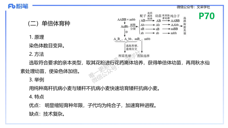 理论精讲10-遗传学3-拾光_4-教培资料-26年最新资料-同步更新_初中高中教资_03科三专项（进去保存报考的学科即可）_01科目三FB网课、三色速记手册、知识点导图等推荐_初中