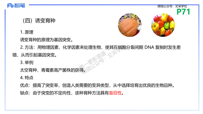 理论精讲10-遗传学3-拾光_4-教培资料-26年最新资料-同步更新_初中高中教资_03科三专项（进去保存报考的学科即可）_01科目三FB网课、三色速记手册、知识点导图等推荐_初中
