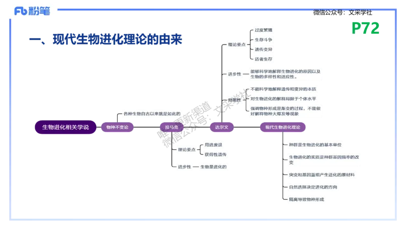 理论精讲10-遗传学3-拾光_4-教培资料-26年最新资料-同步更新_初中高中教资_03科三专项（进去保存报考的学科即可）_01科目三FB网课、三色速记手册、知识点导图等推荐_初中