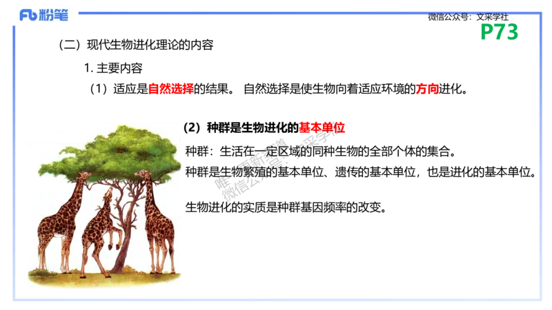 理论精讲10-遗传学3-拾光_4-教培资料-26年最新资料-同步更新_初中高中教资_03科三专项（进去保存报考的学科即可）_01科目三FB网课、三色速记手册、知识点导图等推荐_初中