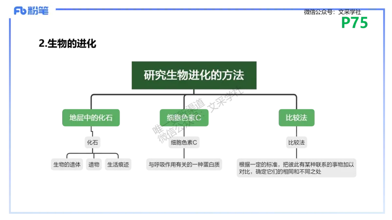 理论精讲10-遗传学3-拾光_4-教培资料-26年最新资料-同步更新_初中高中教资_03科三专项（进去保存报考的学科即可）_01科目三FB网课、三色速记手册、知识点导图等推荐_初中