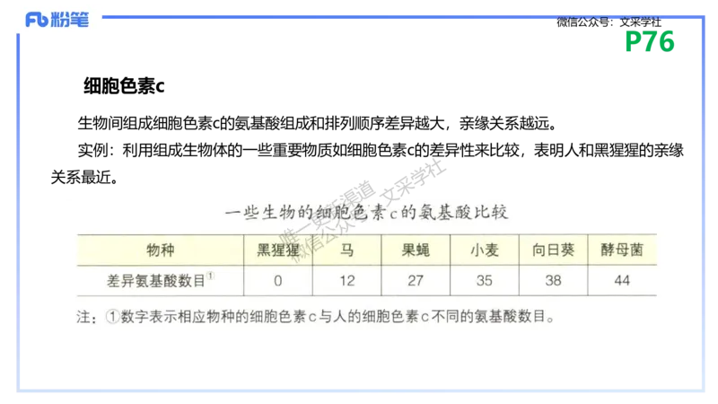 理论精讲10-遗传学3-拾光_4-教培资料-26年最新资料-同步更新_初中高中教资_03科三专项（进去保存报考的学科即可）_01科目三FB网课、三色速记手册、知识点导图等推荐_初中