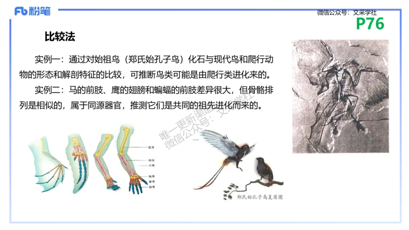 理论精讲10-遗传学3-拾光_4-教培资料-26年最新资料-同步更新_初中高中教资_03科三专项（进去保存报考的学科即可）_01科目三FB网课、三色速记手册、知识点导图等推荐_初中