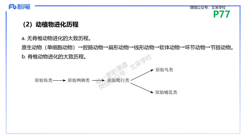 理论精讲10-遗传学3-拾光_4-教培资料-26年最新资料-同步更新_初中高中教资_03科三专项（进去保存报考的学科即可）_01科目三FB网课、三色速记手册、知识点导图等推荐_初中