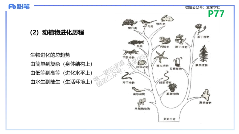 理论精讲10-遗传学3-拾光_4-教培资料-26年最新资料-同步更新_初中高中教资_03科三专项（进去保存报考的学科即可）_01科目三FB网课、三色速记手册、知识点导图等推荐_初中