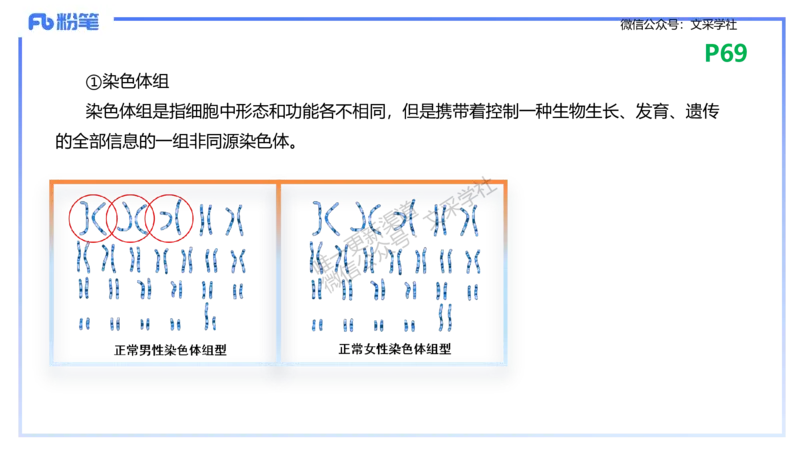 理论精讲10-遗传学3-拾光_4-教培资料-26年最新资料-同步更新_初中高中教资_03科三专项（进去保存报考的学科即可）_01科目三FB网课、三色速记手册、知识点导图等推荐_初中