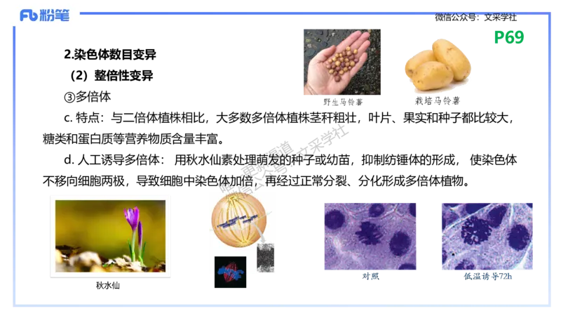 理论精讲10-遗传学3-拾光_4-教培资料-26年最新资料-同步更新_初中高中教资_03科三专项（进去保存报考的学科即可）_01科目三FB网课、三色速记手册、知识点导图等推荐_初中