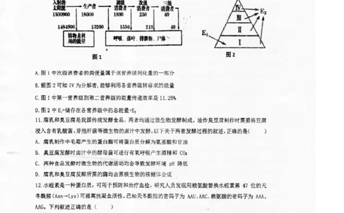 广东省湛江市2024-2025学年高二下学期期末调研测试考试生物试卷（含答案）_2025年7月_250710广东省湛江市2024-2025学年高二下学期期末调研测试考试（全科）