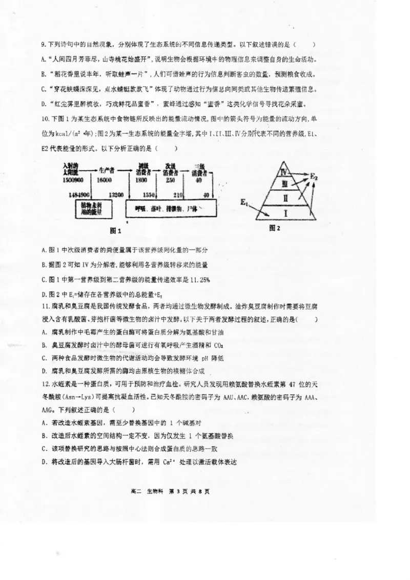 广东省湛江市2024-2025学年高二下学期期末调研测试考试生物试卷（含答案）_2025年7月_250710广东省湛江市2024-2025学年高二下学期期末调研测试考试（全科）