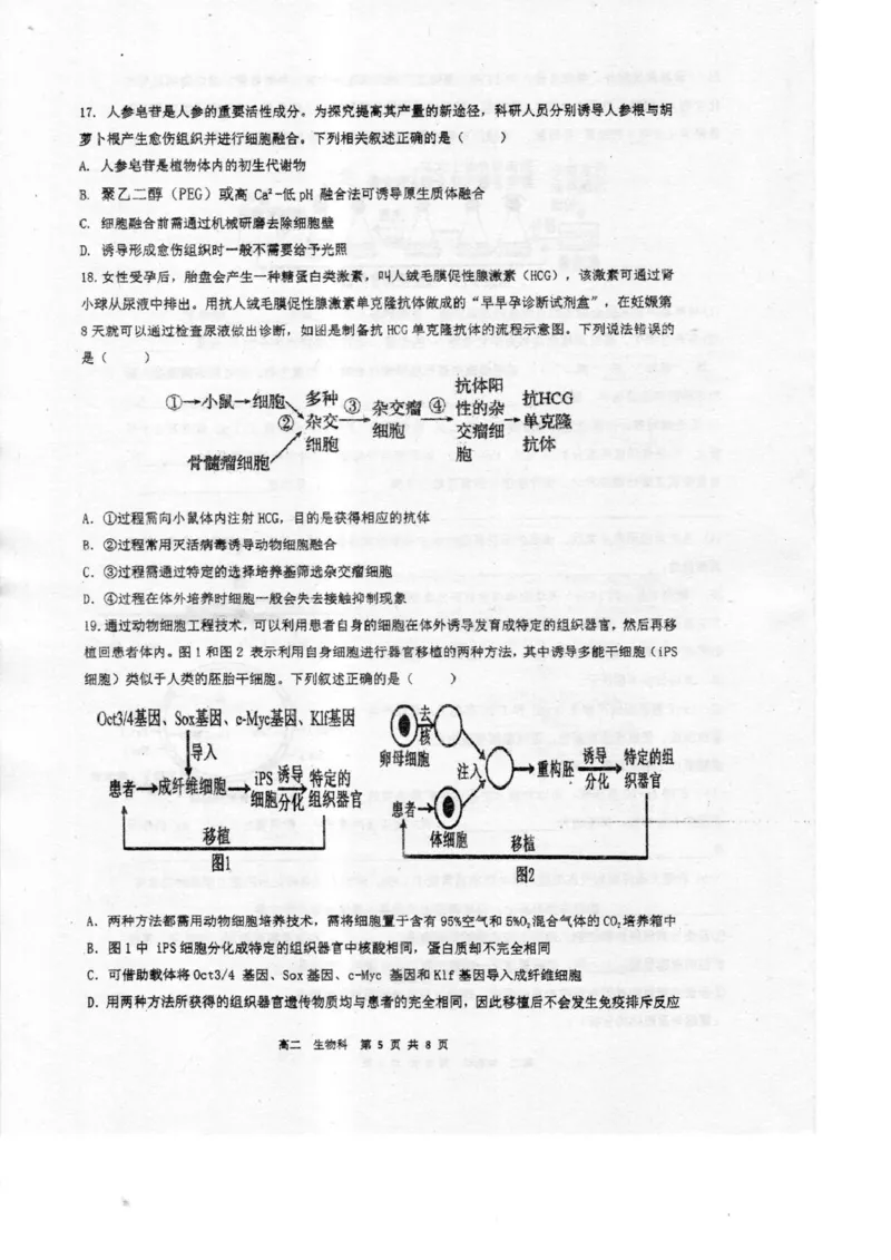 广东省湛江市2024-2025学年高二下学期期末调研测试考试生物试卷（含答案）_2025年7月_250710广东省湛江市2024-2025学年高二下学期期末调研测试考试（全科）