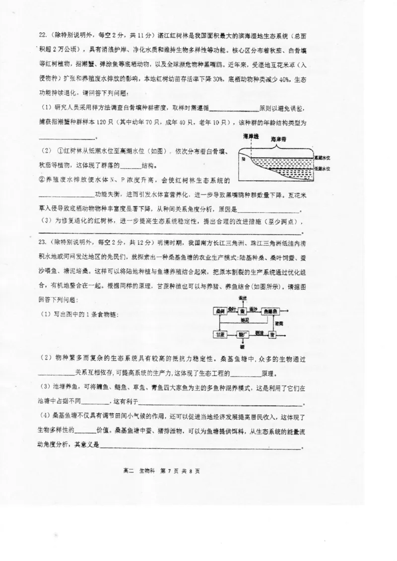 广东省湛江市2024-2025学年高二下学期期末调研测试考试生物试卷（含答案）_2025年7月_250710广东省湛江市2024-2025学年高二下学期期末调研测试考试（全科）