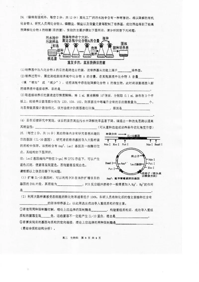 广东省湛江市2024-2025学年高二下学期期末调研测试考试生物试卷（含答案）_2025年7月_250710广东省湛江市2024-2025学年高二下学期期末调研测试考试（全科）