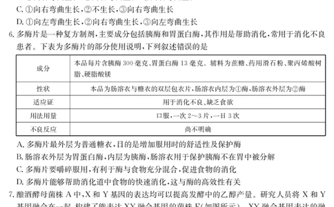 云南省曲靖市2024-2025届高二下学期阶段性诊断考试生物学_2025年7月_250704云南省2024-2025届（下学期）高二年级阶段性诊断考试（金太阳25-557B）（全科）