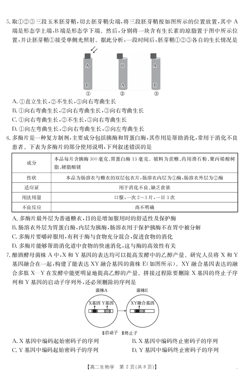 云南省曲靖市2024-2025届高二下学期阶段性诊断考试生物学_2025年7月_250704云南省2024-2025届（下学期）高二年级阶段性诊断考试（金太阳25-557B）（全科）
