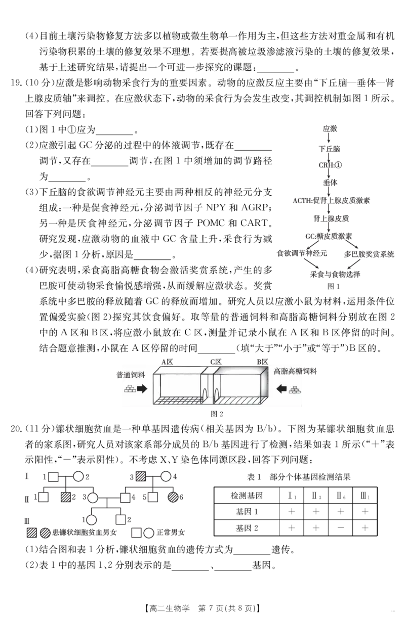 云南省曲靖市2024-2025届高二下学期阶段性诊断考试生物学_2025年7月_250704云南省2024-2025届（下学期）高二年级阶段性诊断考试（金太阳25-557B）（全科）