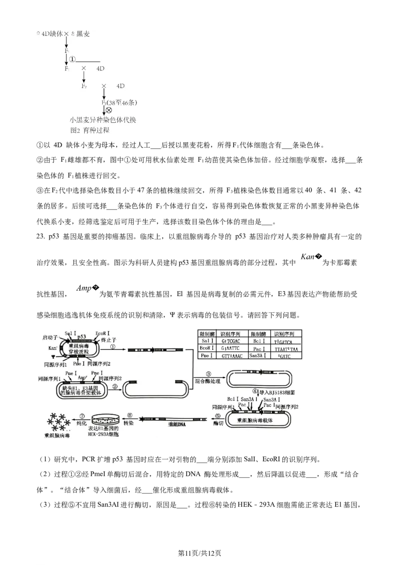 精品解析：江苏省新高考基地学校2023-2024学年高三12月月考生物试题（原卷版）_2024届江苏省新高考基地学校高三上学期第三次大联考