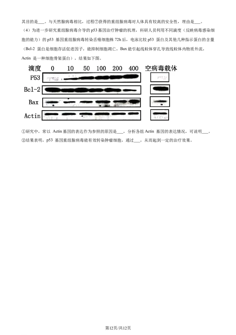 精品解析：江苏省新高考基地学校2023-2024学年高三12月月考生物试题（原卷版）_2024届江苏省新高考基地学校高三上学期第三次大联考