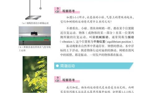 教科版高中物理选修3-4_4-教培资料-26年最新资料-同步更新_初中高中教资_03科三专项（进去保存报考的学科即可）_02科三专项（笔记真题思维导图教学设计版本二）