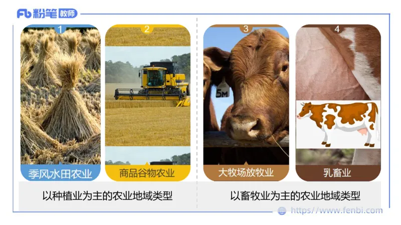 理论精讲11-人文地理3智伟_4-教培资料-26年最新资料-同步更新_初中高中教资_03科三专项（进去保存报考的学科即可）_01科目三FB网课、三色速记手册、知识点导图等推荐_初中