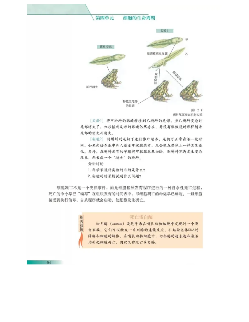 沪科版高中生物必修1《分子与细胞》电子课本_4-教培资料-26年最新资料-同步更新_初中高中教资_03科三专项（进去保存报考的学科即可）_112025高中科目（全）电子教材
