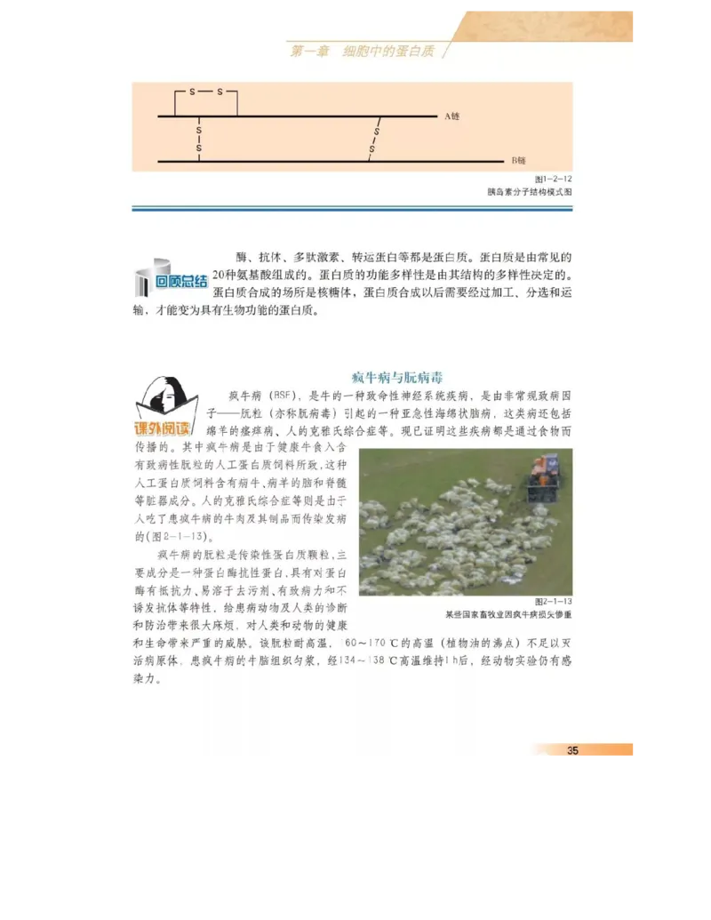 沪科版高中生物必修1《分子与细胞》电子课本_4-教培资料-26年最新资料-同步更新_初中高中教资_03科三专项（进去保存报考的学科即可）_112025高中科目（全）电子教材