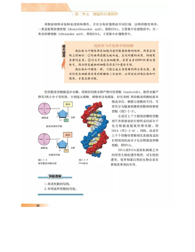 沪科版高中生物必修1《分子与细胞》电子课本_4-教培资料-26年最新资料-同步更新_初中高中教资_03科三专项（进去保存报考的学科即可）_112025高中科目（全）电子教材