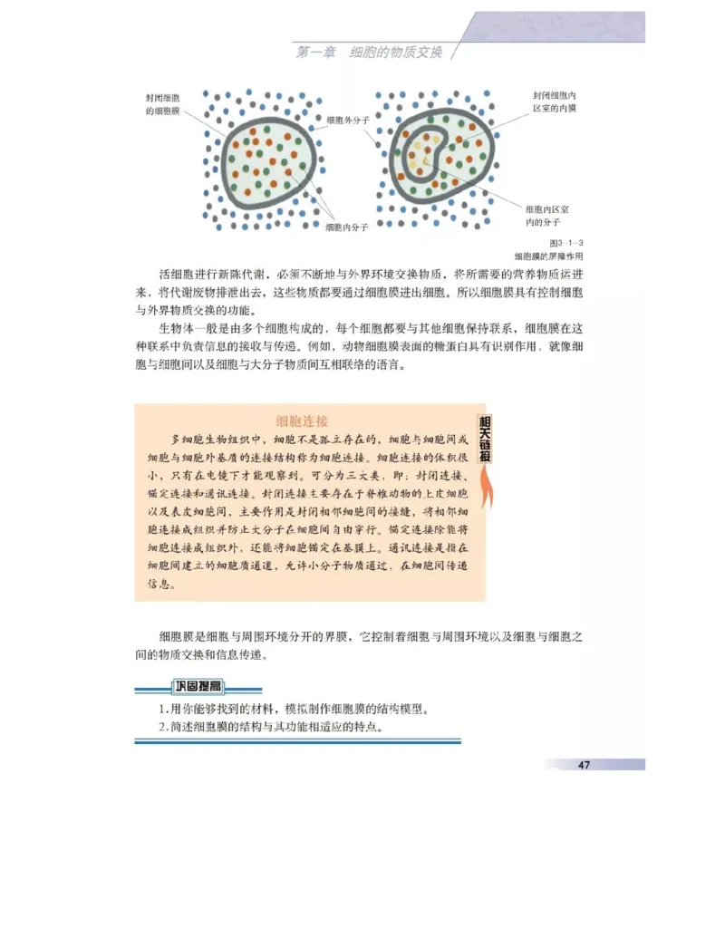 沪科版高中生物必修1《分子与细胞》电子课本_4-教培资料-26年最新资料-同步更新_初中高中教资_03科三专项（进去保存报考的学科即可）_112025高中科目（全）电子教材