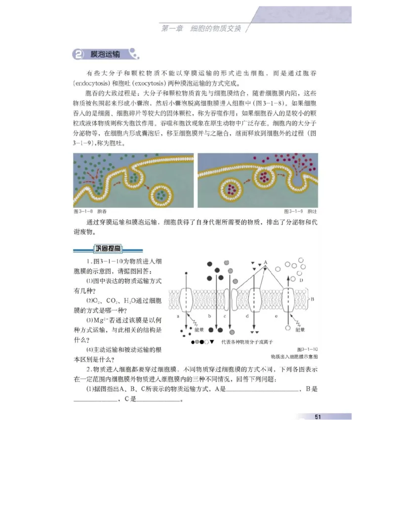 沪科版高中生物必修1《分子与细胞》电子课本_4-教培资料-26年最新资料-同步更新_初中高中教资_03科三专项（进去保存报考的学科即可）_112025高中科目（全）电子教材